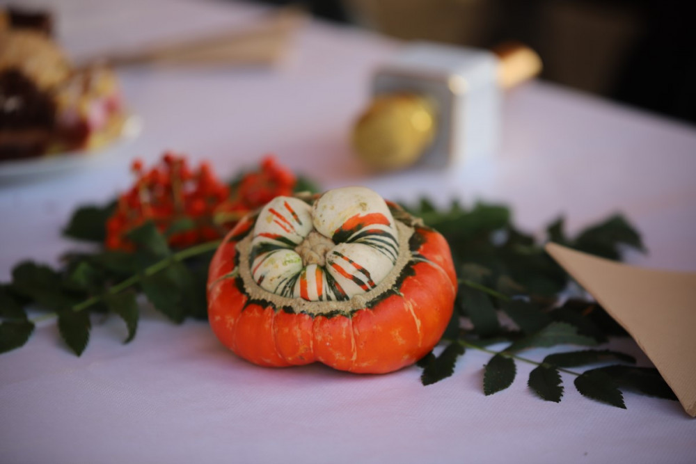 dozynki_gminy_jedlicze_2022-101-Kopiowanie