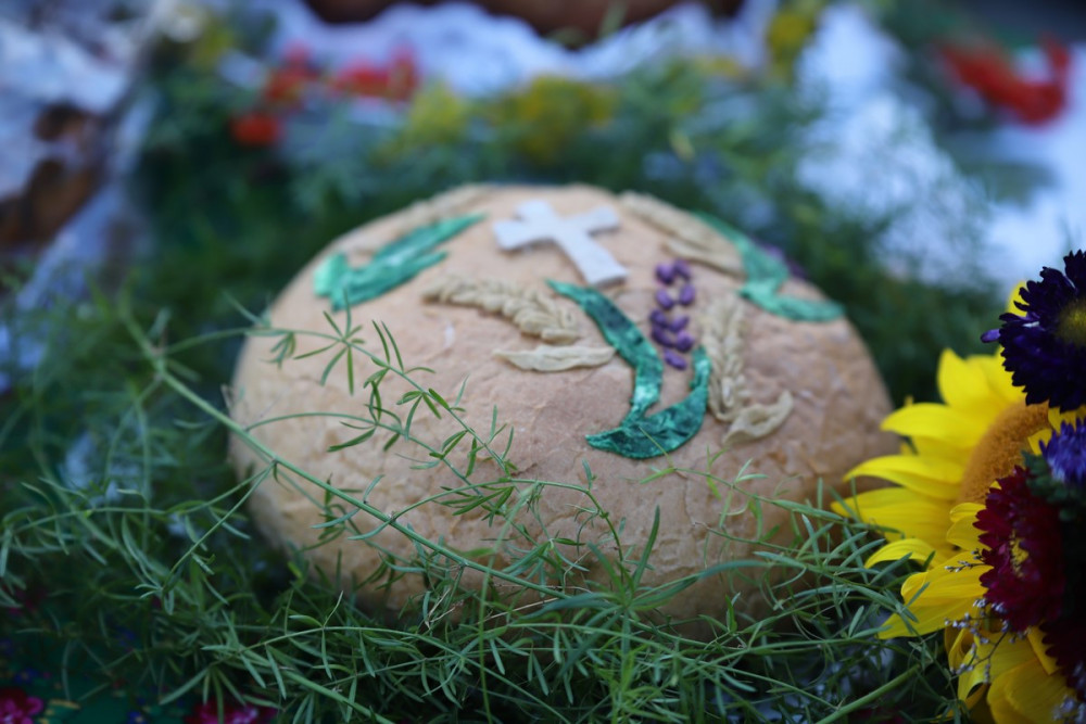 dozynki_gminy_jedlicze_2022-145-Kopiowanie